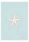 Mermaid Starfish Print - Pink & Mint