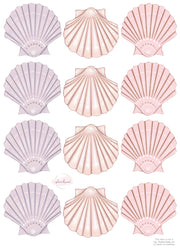 Clam Shell Wall Decals - A3 – Isla Dream Prints