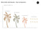 Boho Palms Wall Decals