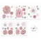 The Flower Box Decals Sets - Chantilly - Isla Dream Prints